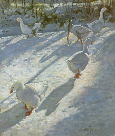 Exploring the Slope by Timothy Easton